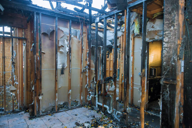 Professional Fire Damage Removal technician working in Parkville, MO